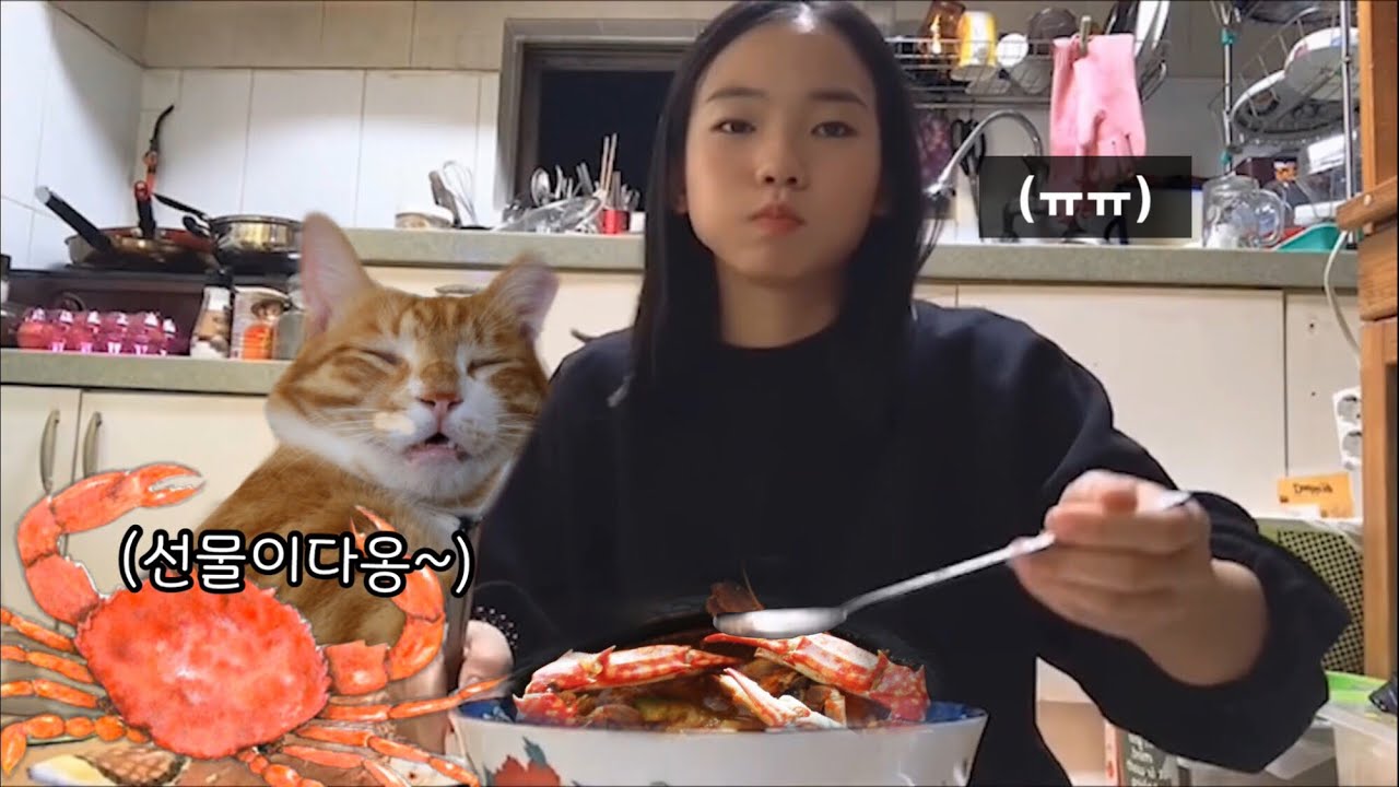 고양이가 물고 온 것은? 눈물의 꽃게탕