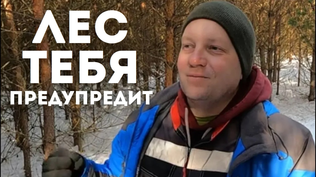 Лес предупреждал тебя. Ты просто не слушал