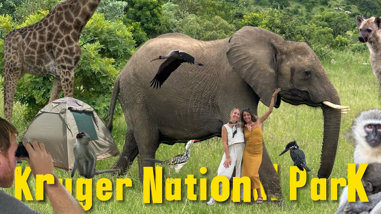⚡️CAMPING SAFARI AT THE WILD KRUGER  NATIONAL PARK🇿🇦 || SOUTH AFRICAN SAFARI  || VLOG