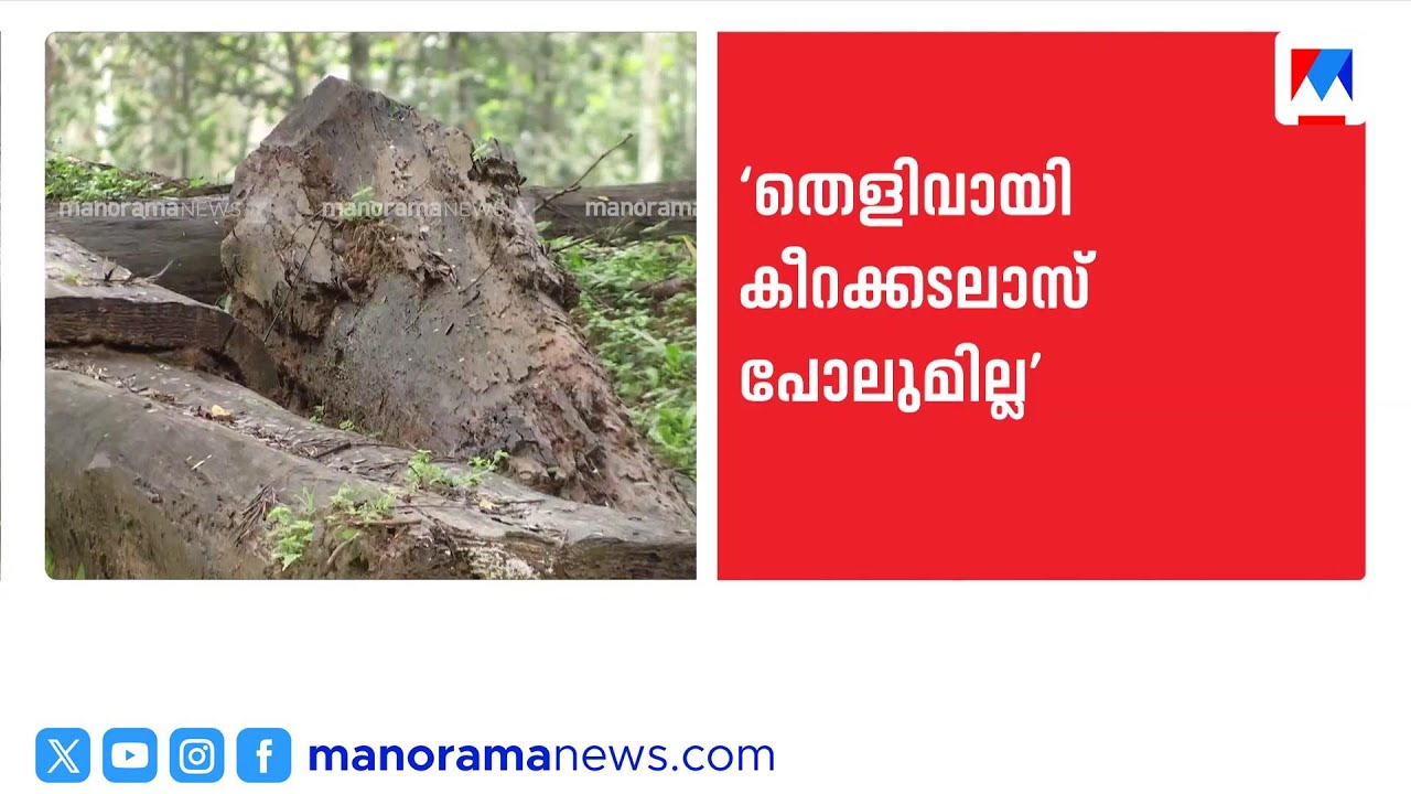 മുട്ടിൽ മരംമുറി: അഗസ്റ്റിൻ സഹോദരന്മാർക്ക് കനത്ത തിരിച്ചടി | Muttil TreeFelling