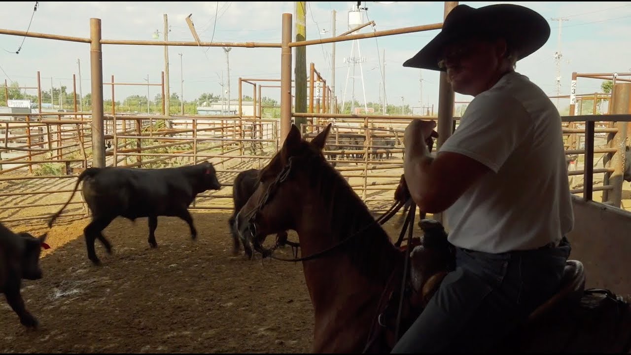 The Last of the Old Time Stockyards