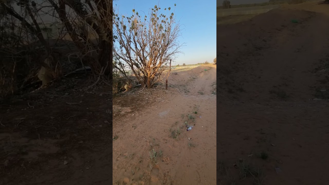 تعدي وكيل وزارة واخوه المحامي على الوادي الشمالي في نعجان ٢