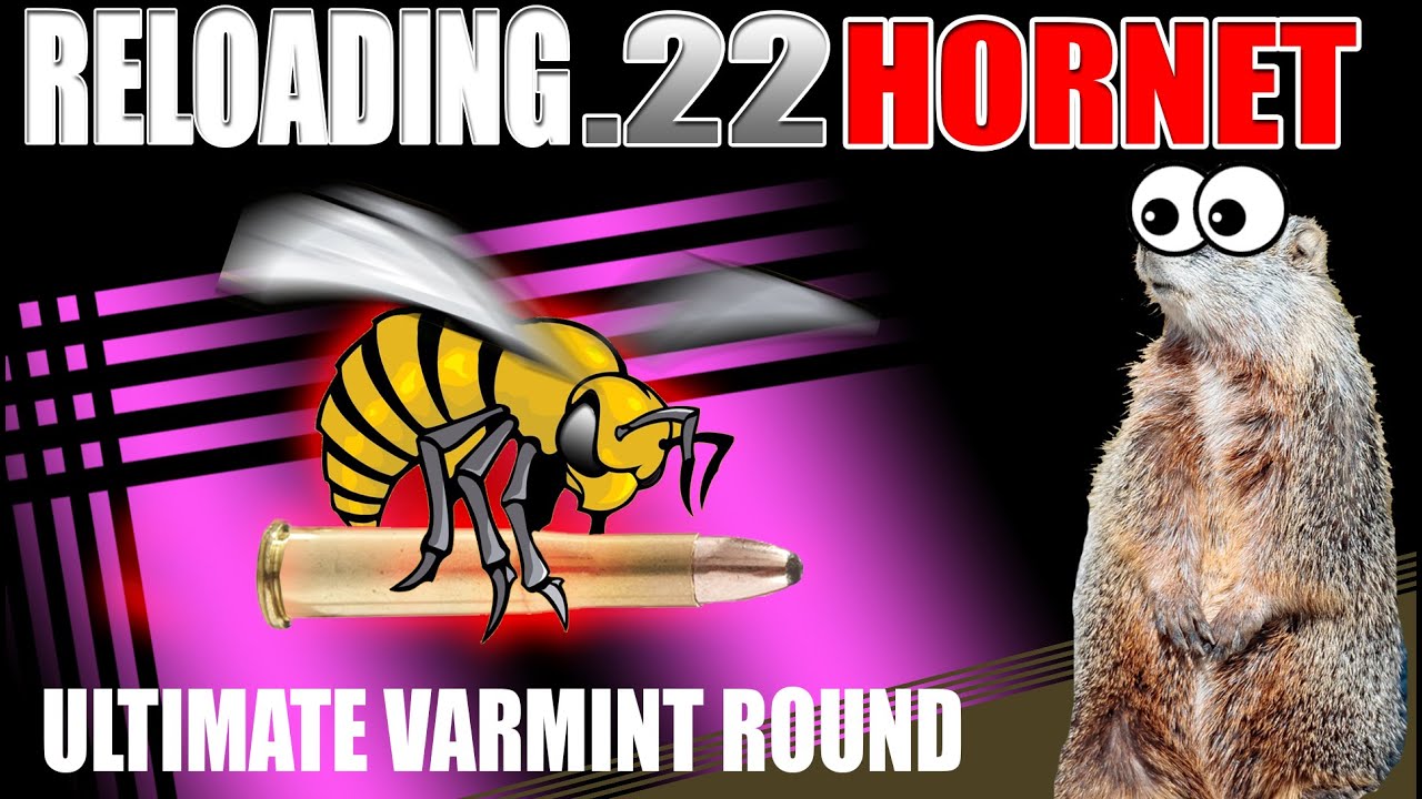 Reloading .22 Hornet - A varmint obliterator.
