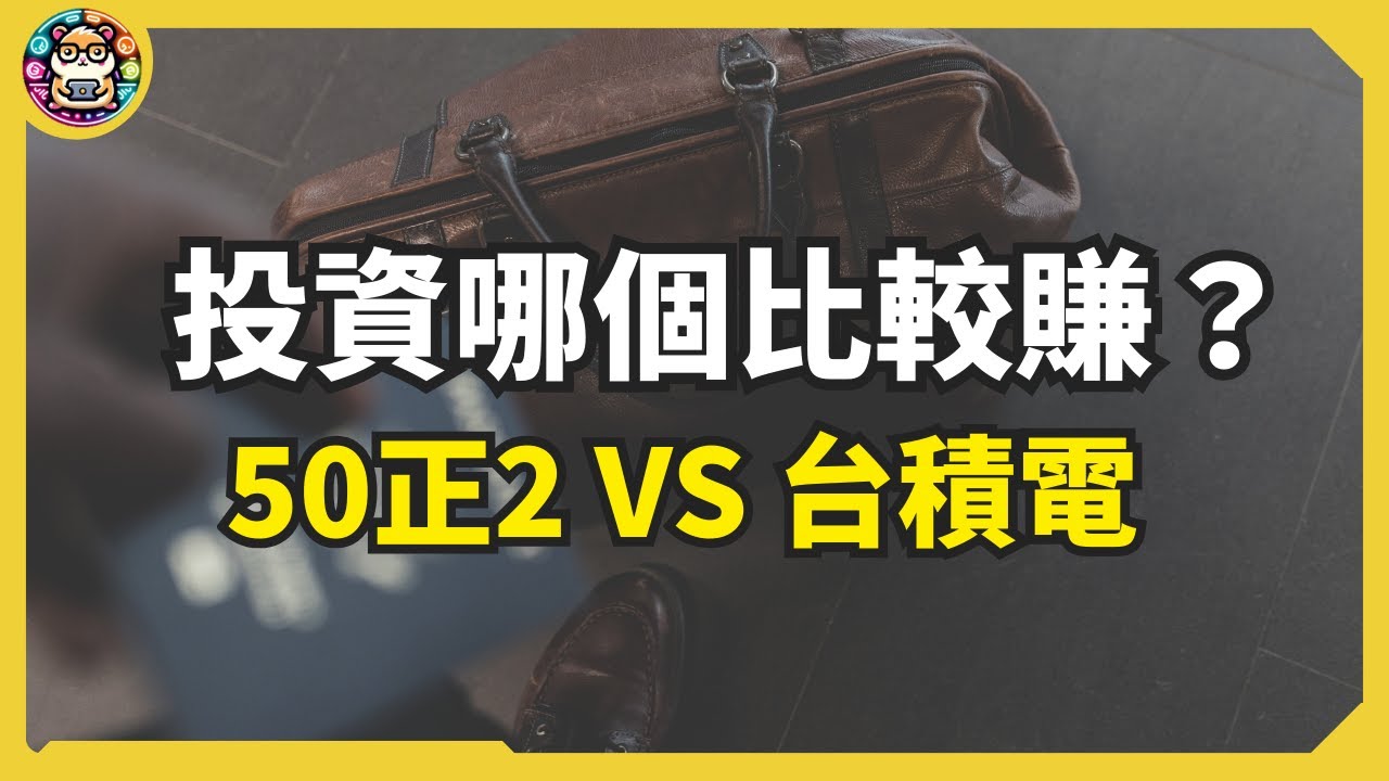 波動率 41% 的真相！買台積電還是正二？這場比較根本沒意義 #倉鼠人生實驗室