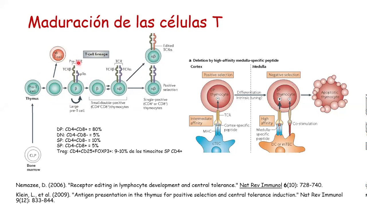 Análisis de perfiles de linfocitos T cooperadores (CD4) por citometría de flujo