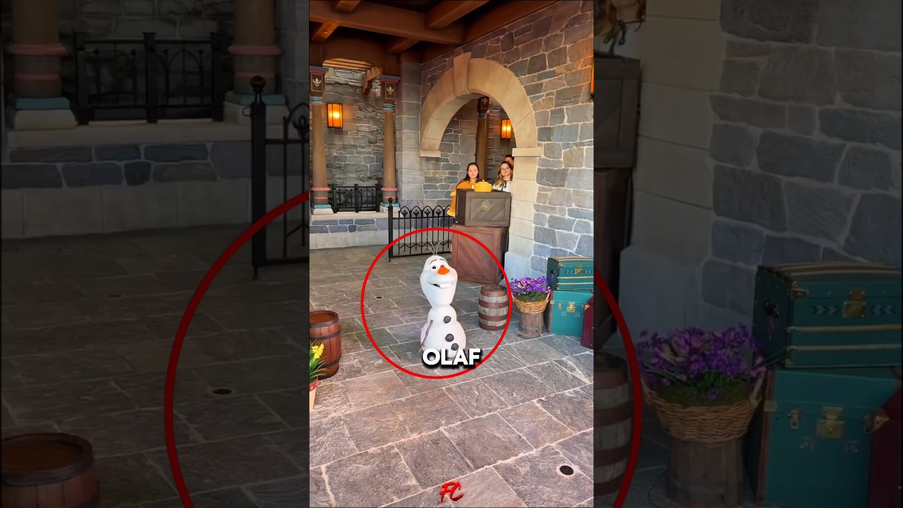 She Finally Met Olaf in Real Life 😭