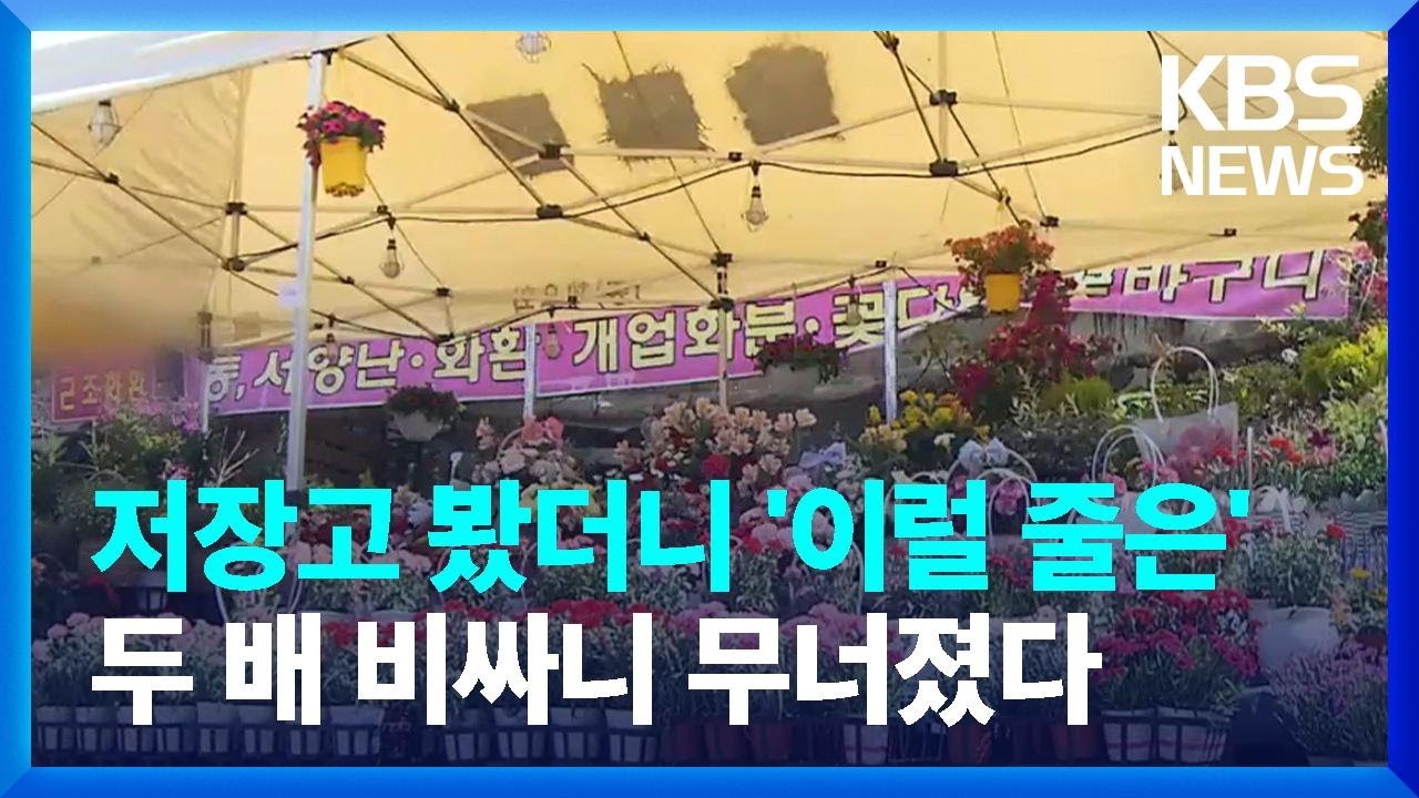 저장고 봤더니 '이럴 줄은' 직격탄 화훼농가의 피눈물 / KBS  2023.05.10.