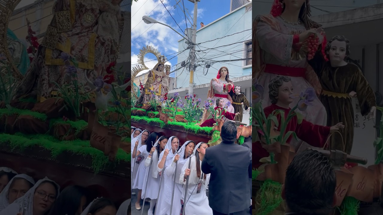 Cofrad&iacute;a del Patr&oacute;n San Pedro - Procesi&oacute;n de Nuestra Se&ntilde;ora del Carmen, Rector&iacute;a del Carmen. 2025