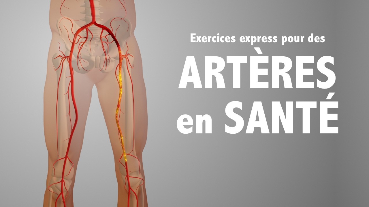Exercices express pour des ART&Egrave;RES en sant&eacute;!