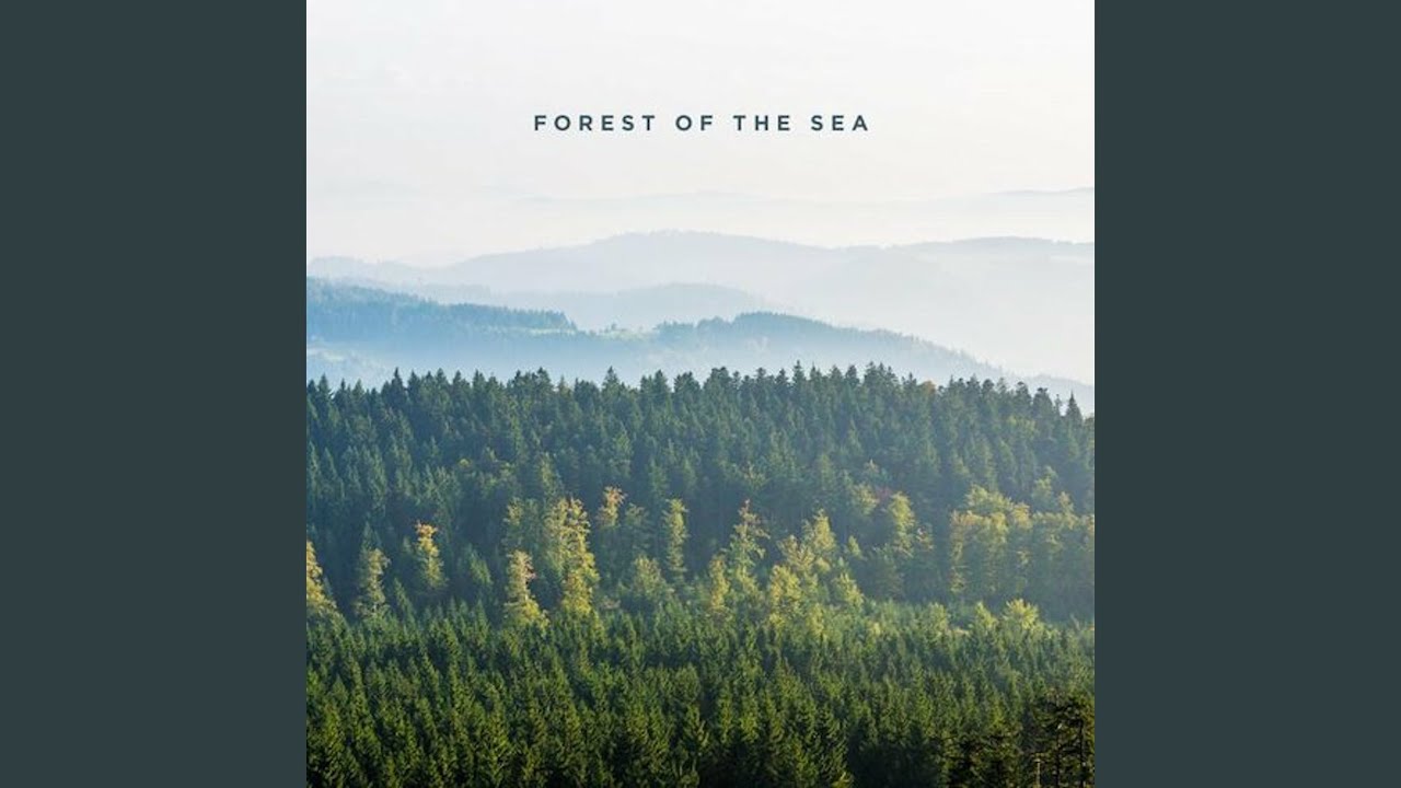 Forest of the Sea