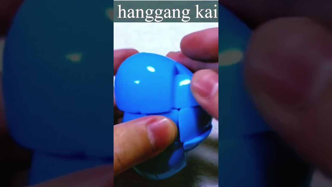Egg Shaped Twisty Puzzle | 