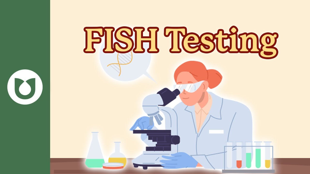 What is FISH testing? How and why is it done? #myeloma