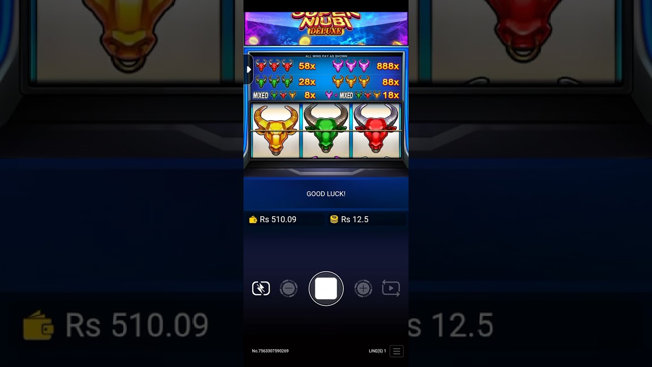 Super niubi game bet and win