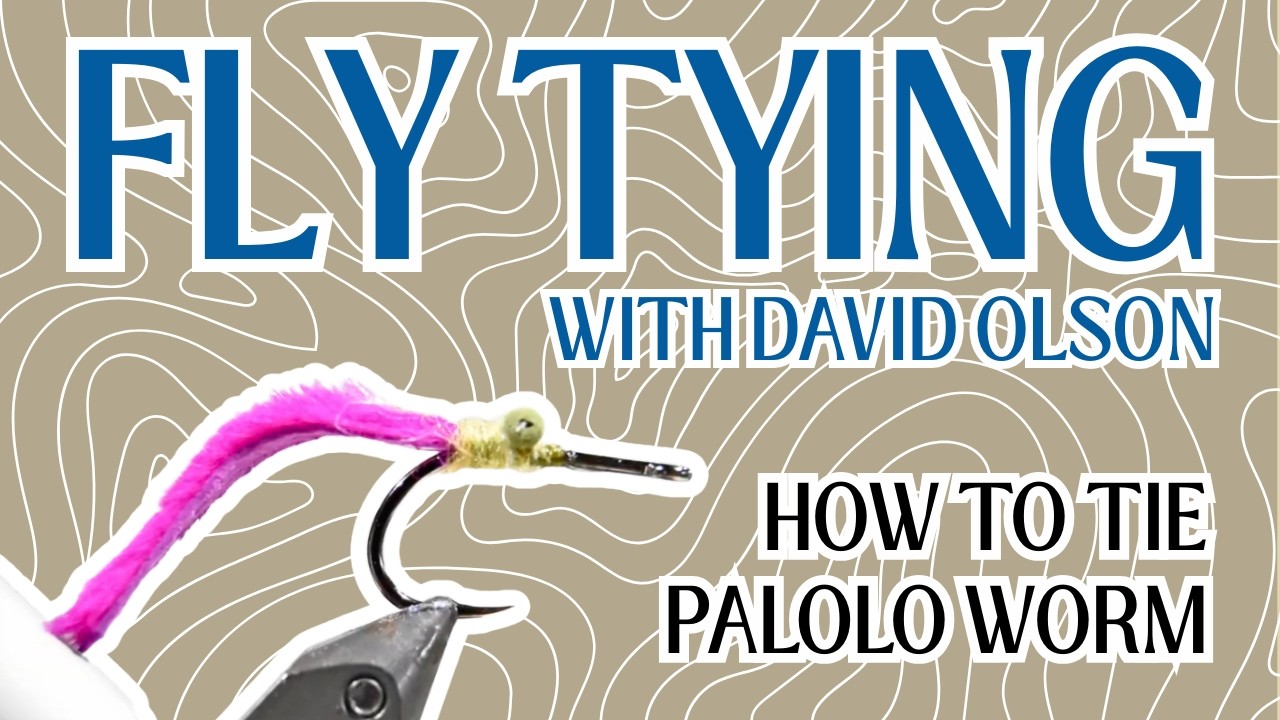 PALOLO TARPON WORM: FLY TYING WITH DAVID OLSON
