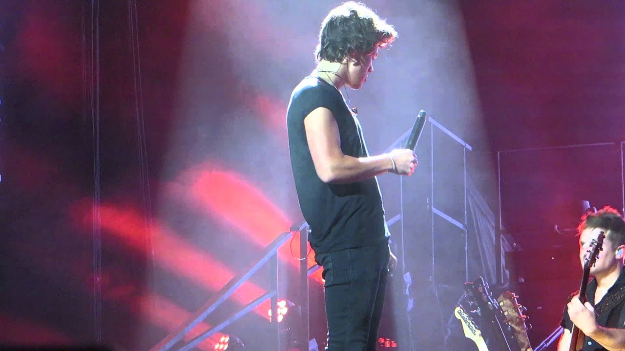 One Direction Teenage Dirtbag Nashville 6/19/13