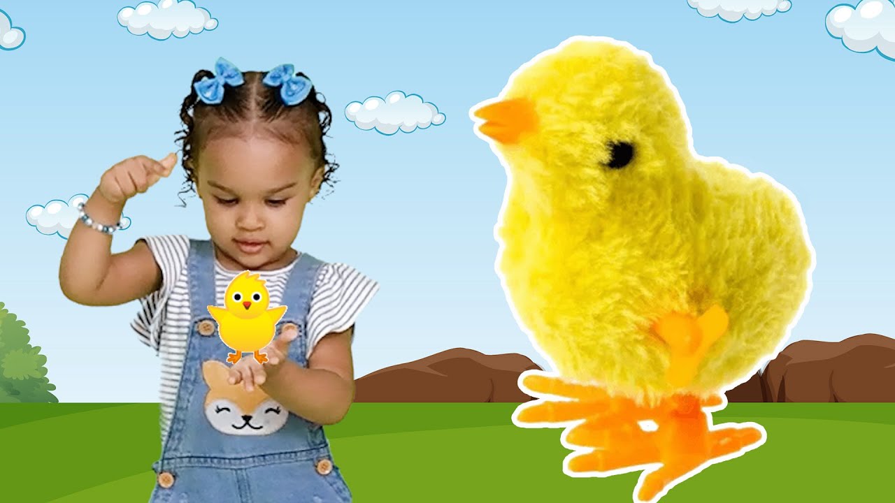 Meu Pintinho amarelinho M&uacute;sica infantil