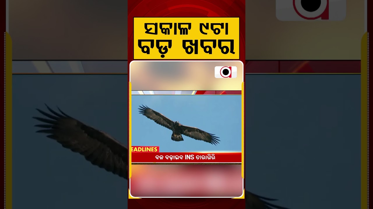 ସକାଳ ୯ଟା ବଡ଼ ଖବର | 9AM Headlines |Today Top News | Big Breaking | Odisha Latest Update | Argus News