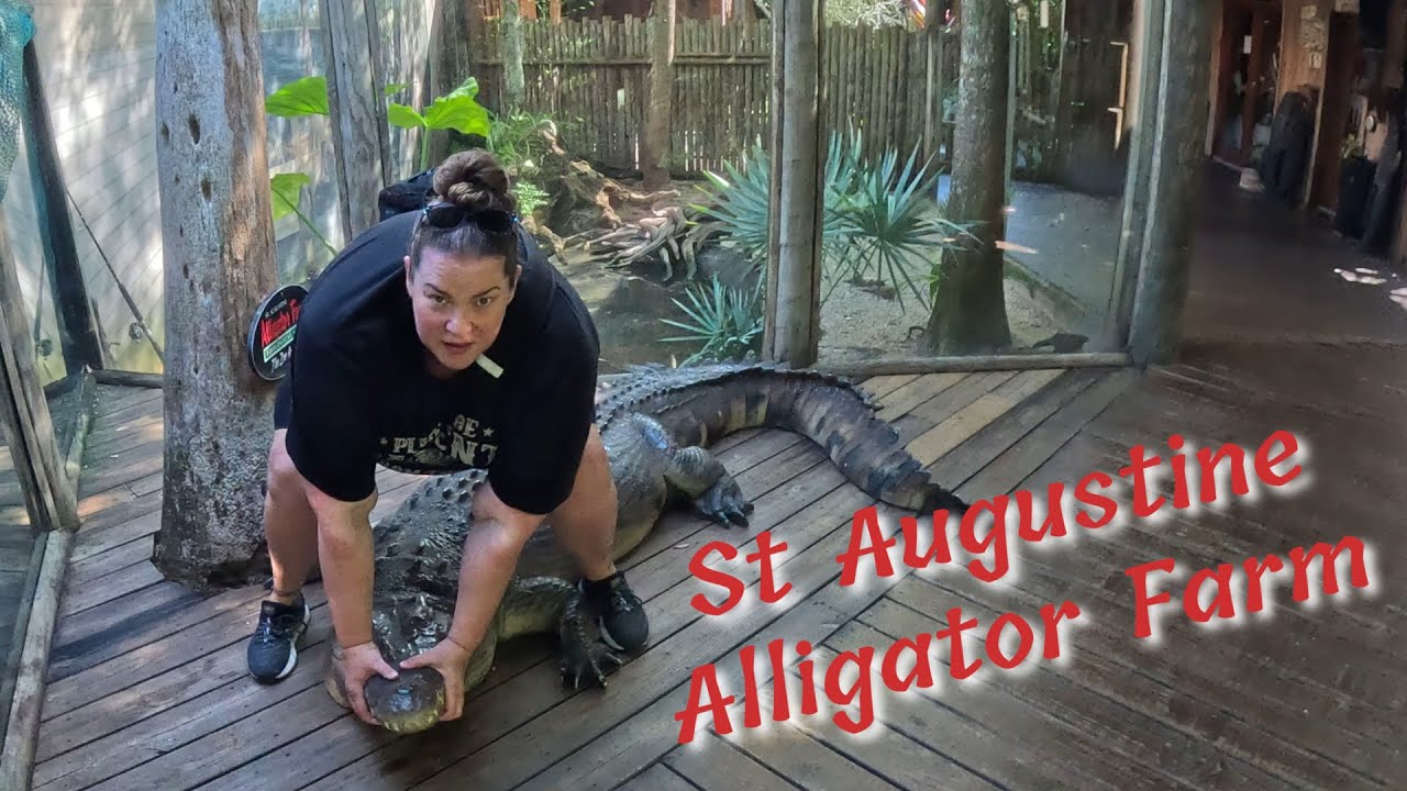 The St Augustine Alligator farm walkthrough tour 