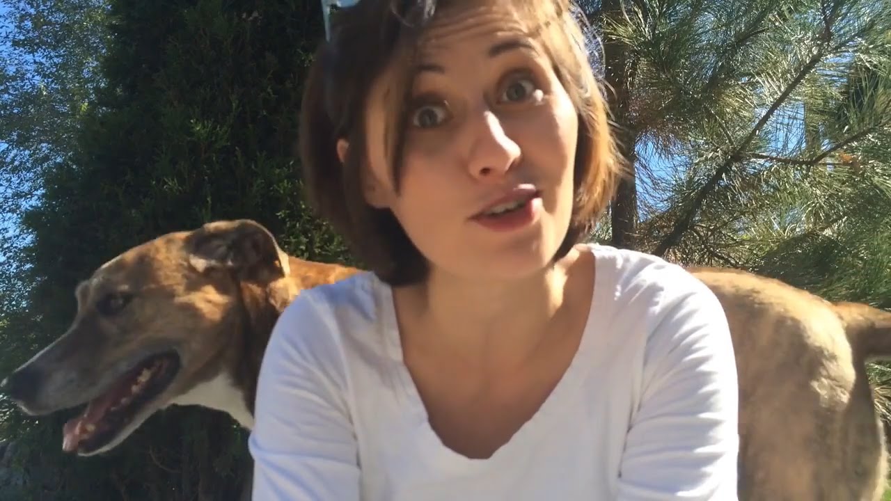 Lindsey Doe (Sexplanations) | The Road to Nerdfighteria