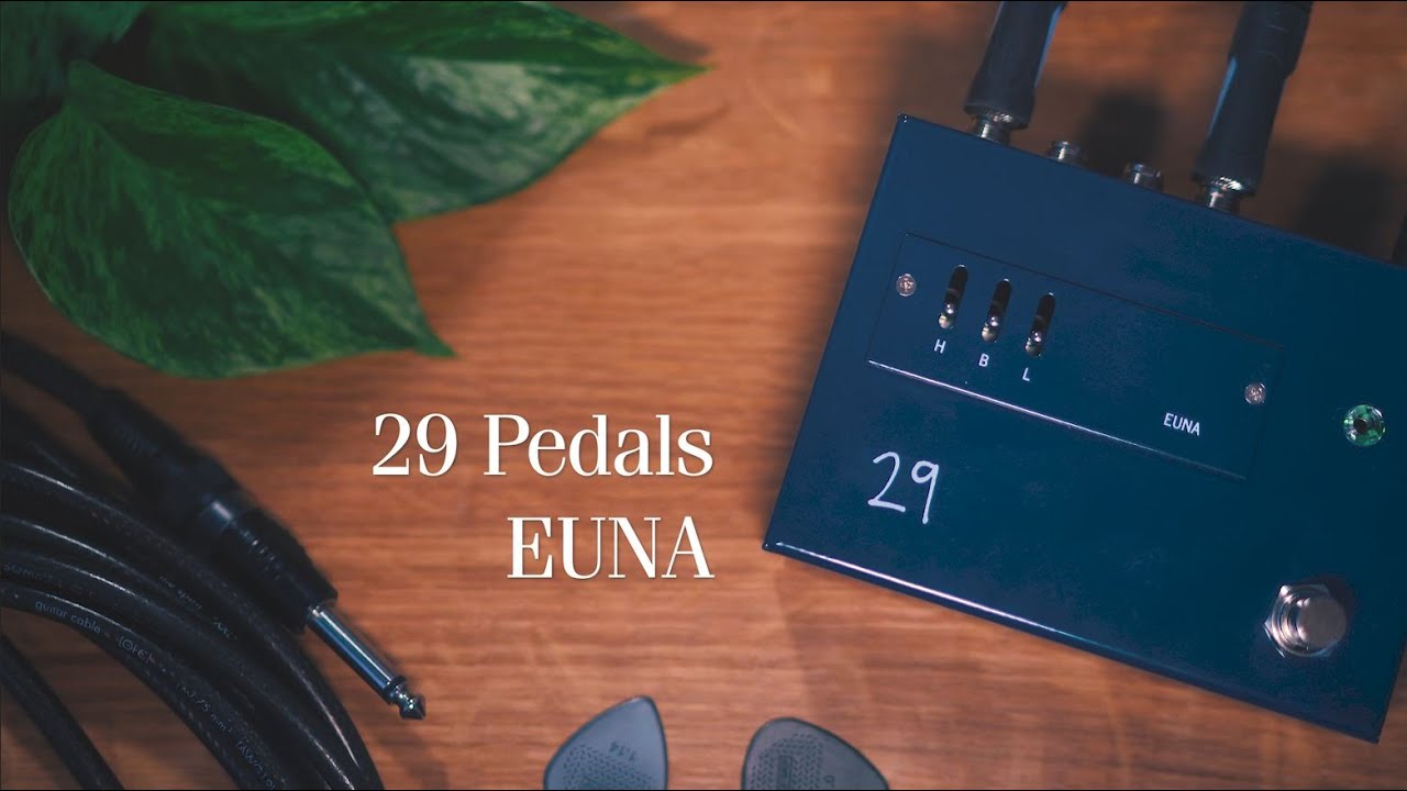 Subtle Tone Enhancer - 29 Pedals EUNA | Vignette Demos