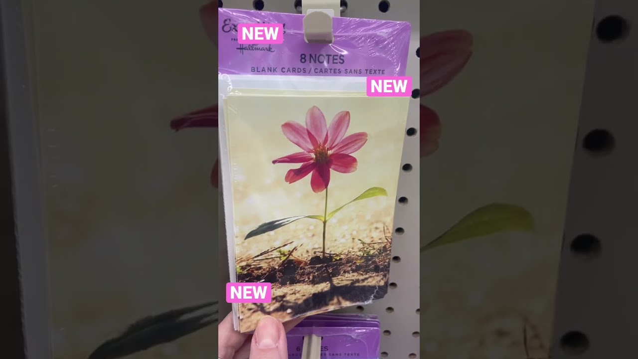 NEW CARD PACKS @dollartree #dollartre. #DT #dthaul #dollartreecommunity