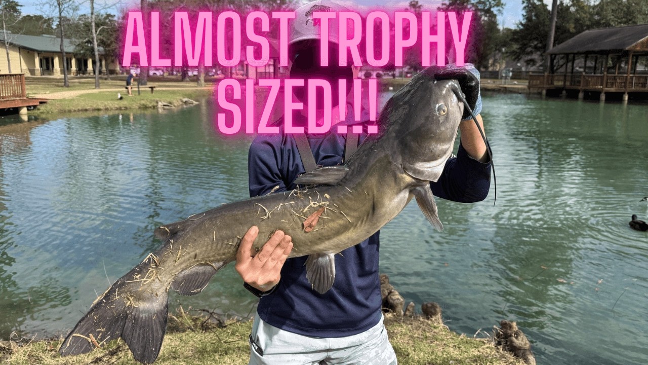 This GIANT Pond Catfish BROKE MY SCALE!!!!