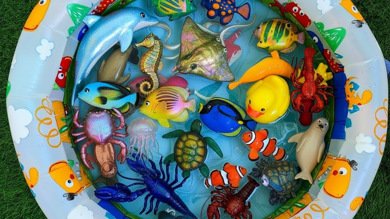 Sea Animal Toys for Kids | Learn Ocean Animal Names & Fun Facts for Toddlers