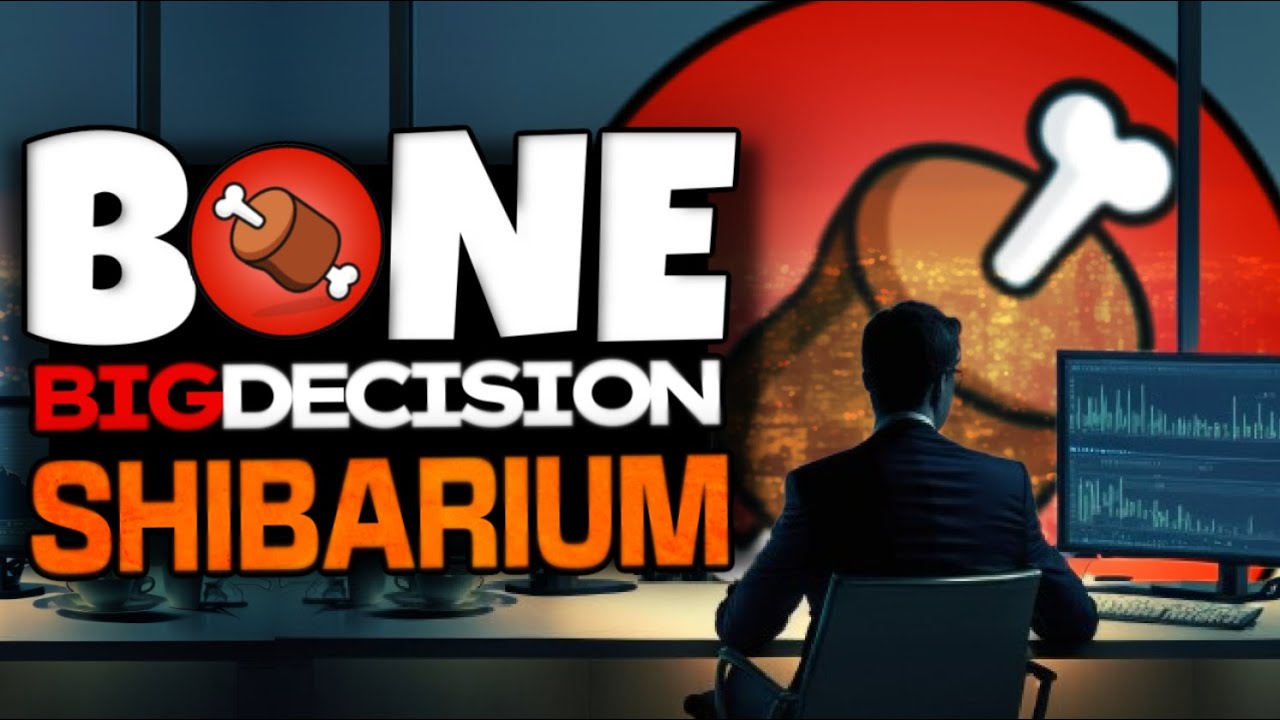 IMPORTANT DECISION ABOUT BONE SHIBASWAP BEFORE SHIBARIUM RELEASE!!!