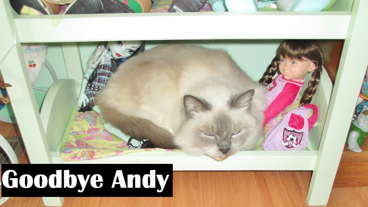 Goodbye Andy