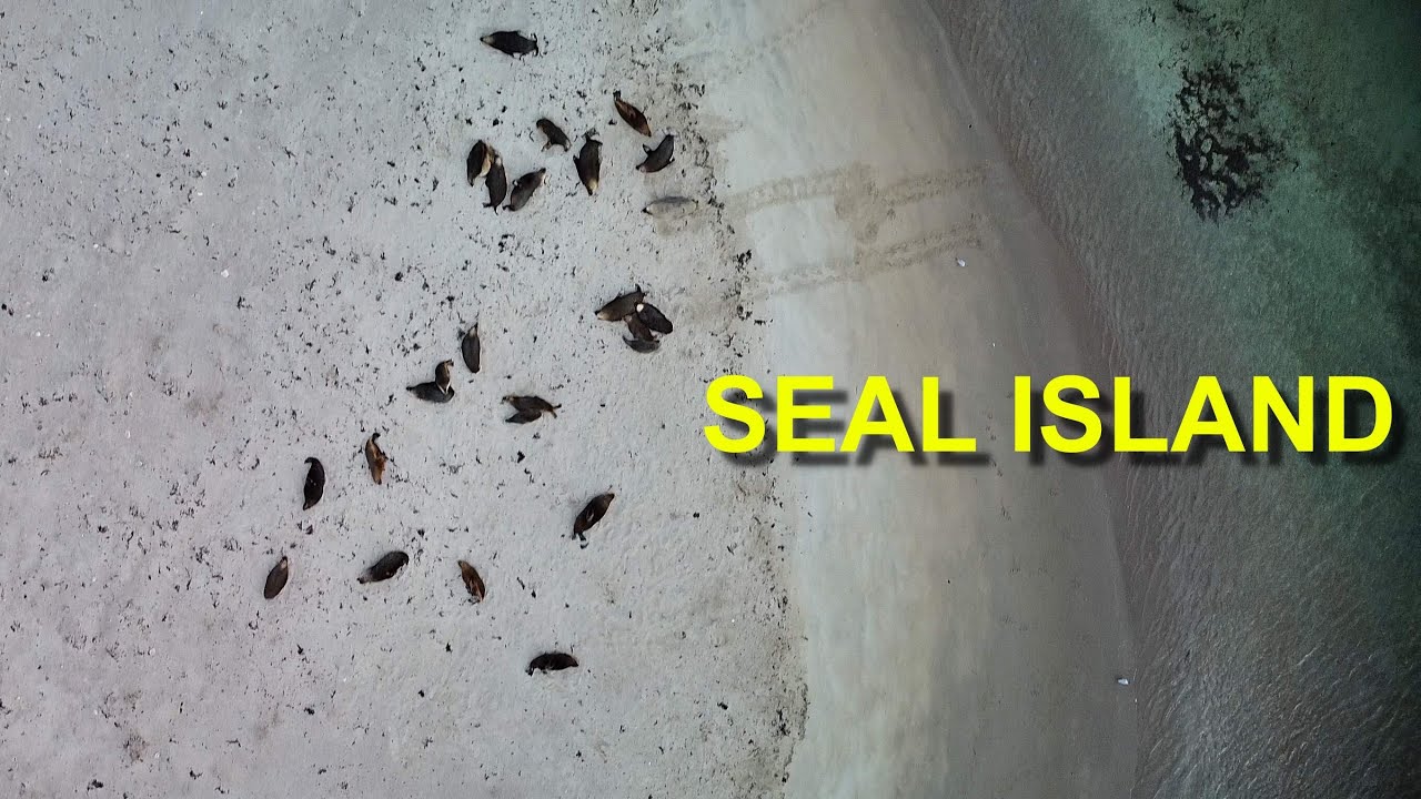 Seal Island. Shoalwater Western Australia