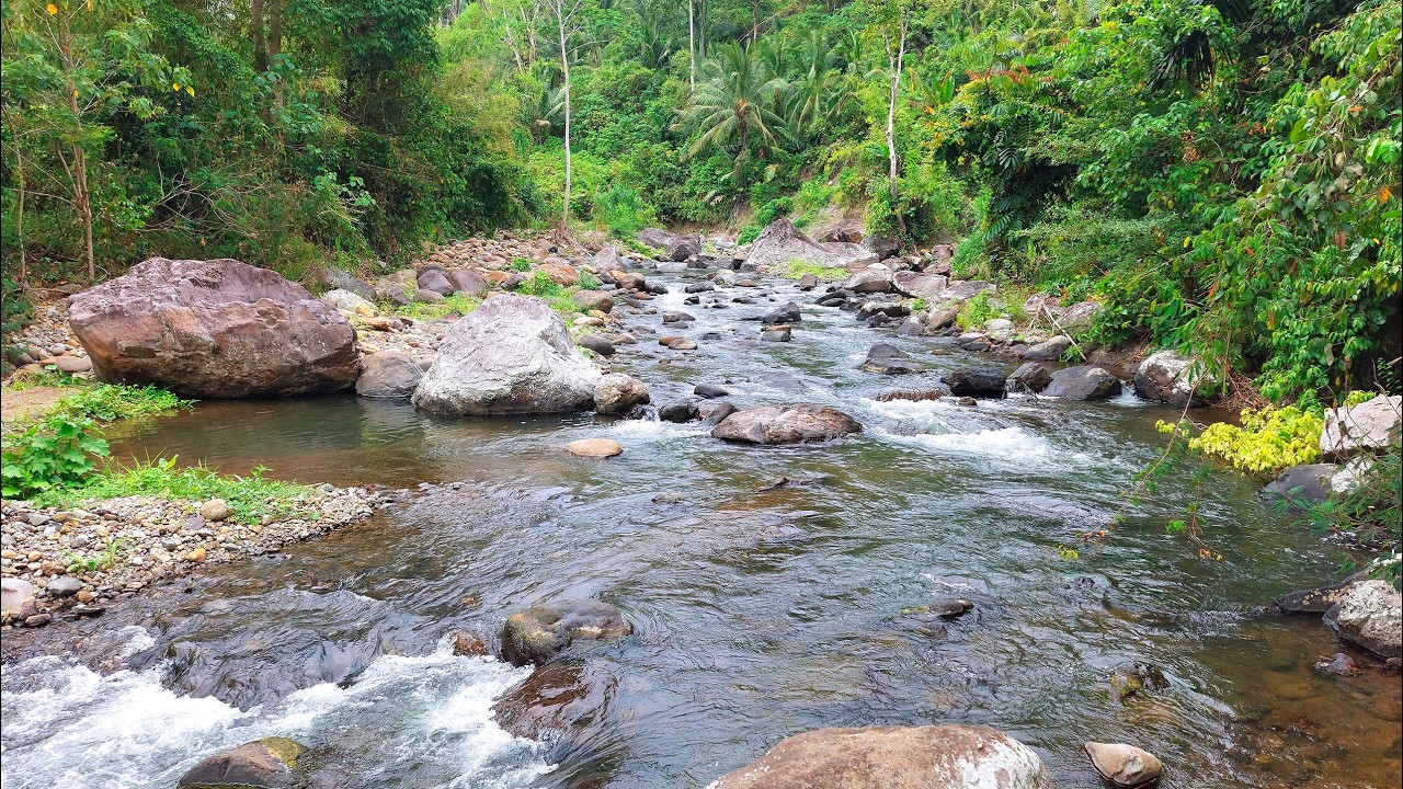 River Sound for Beat Insomnia 🌿 A Quiet River in the Wild Where Your Tired Mind Can Finally Rest