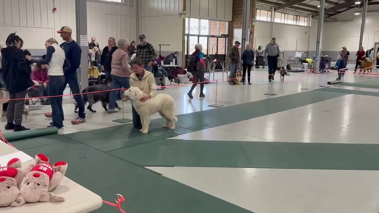 Fun Match - Longmont