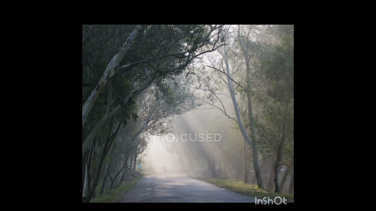 🌳 &ldquo;Beautiful Odisha &ndash; India&rsquo;s Small State with Big Natural Beauty
