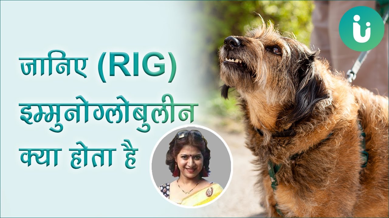 जानिए Rabies Ig या रेबीज इम्मुनोग्लोबुलीन क्या होता है - Rabies in Hindi Part - 7