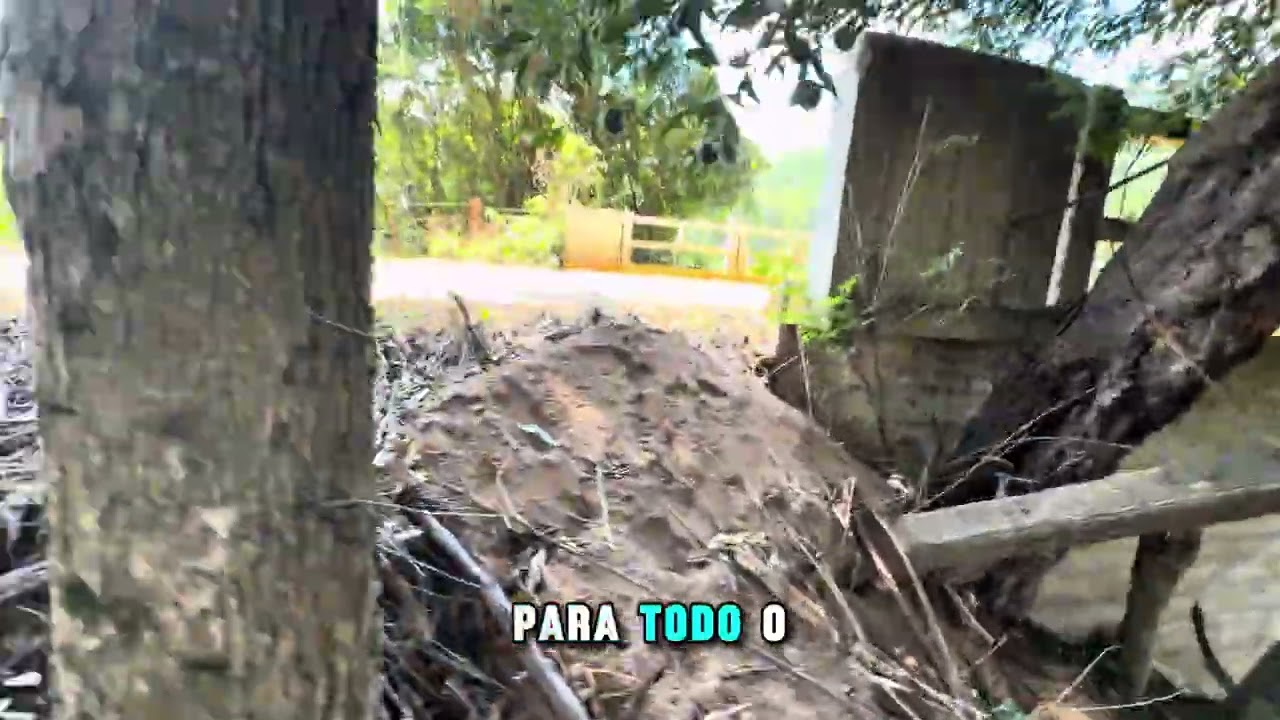 😱 Esse foi o único caminho do vale após a enchente! Veja como está a Barra do Fão hoje em 2026