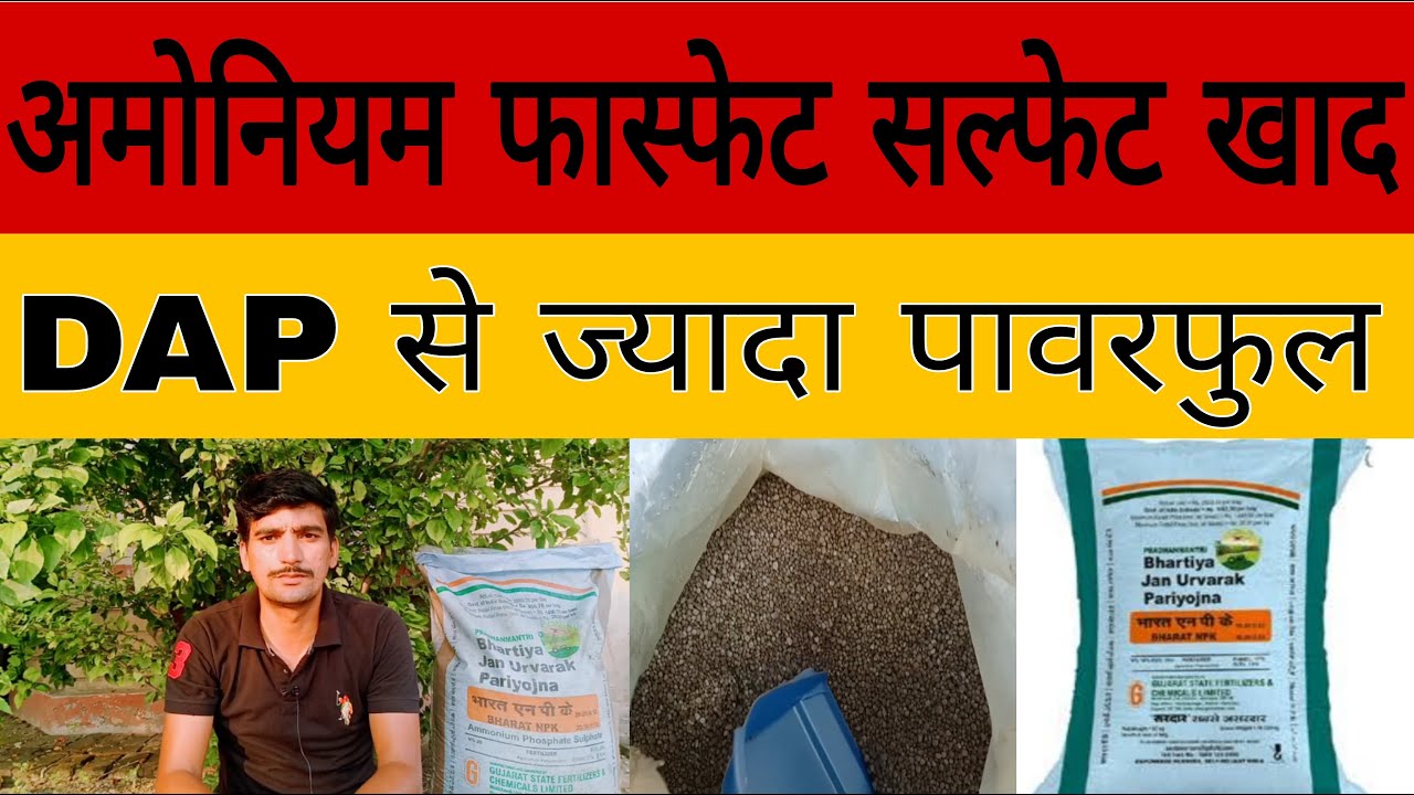 Ammonium phosphate sulphate khad | kya hota hai isme | kon se kisan upyog kar sakte hai |