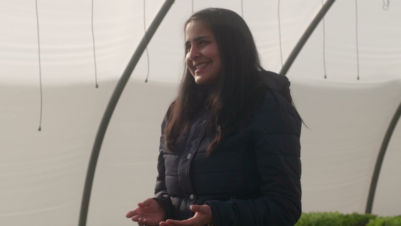 Q&A Farm Worker Training: Produce Safety Rule