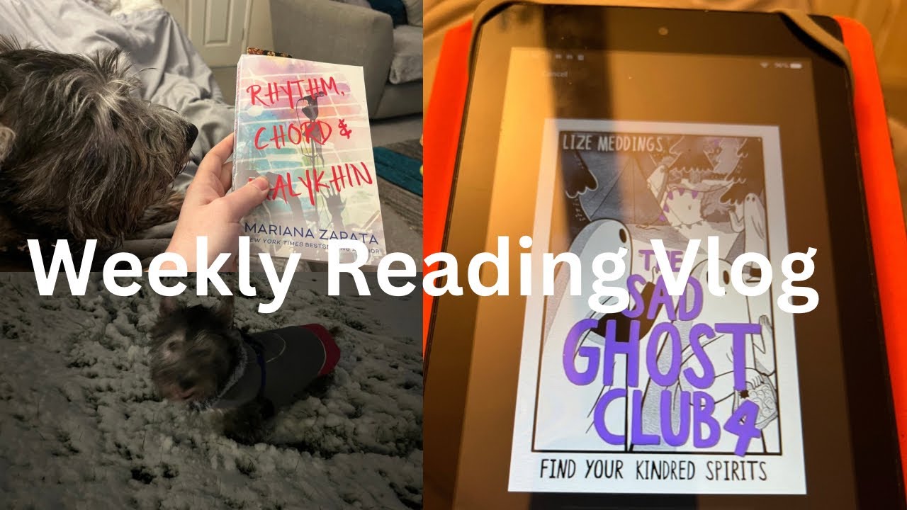 Reading Vlog - starting my January TBR, snow, cheeky dog and a good reading week!