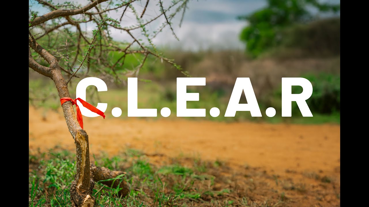 REDAA | C.L.E.A.R Project