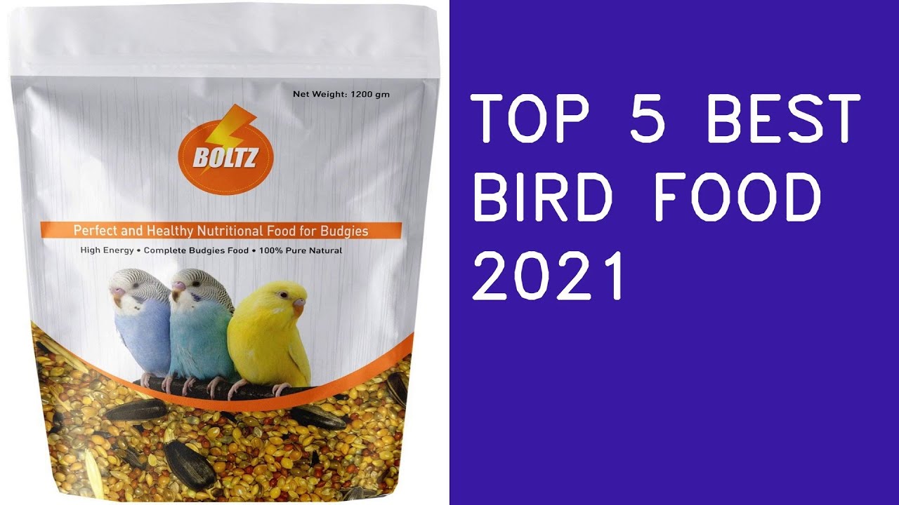 Top 5 Best Bird Food In 2021 India