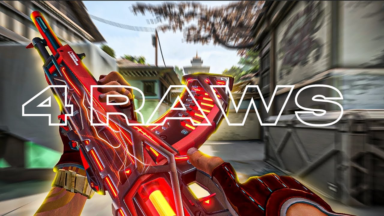 4 RAWS