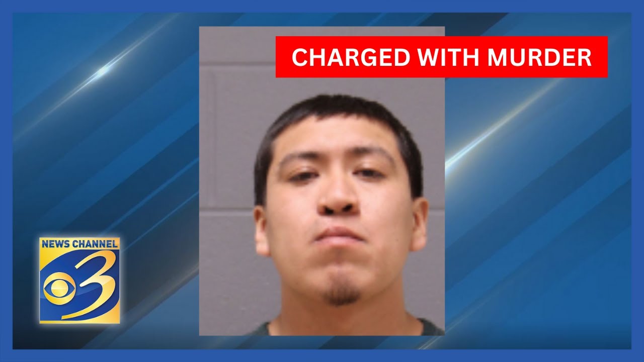Illegal immigrant charged with murder in woman's death on US-131