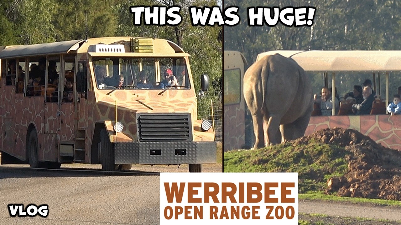 Visiting Werribee Open Range Zoo! NEW HUGE Elephant Area, Safari & MORE! | 2025 Vlog