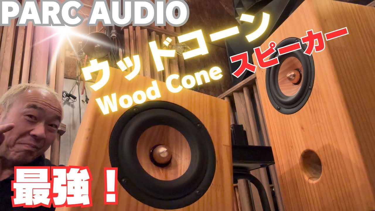 【感動！】ウッドコーンの優しさと迫力！PARC Audio【DCU-F131W 】