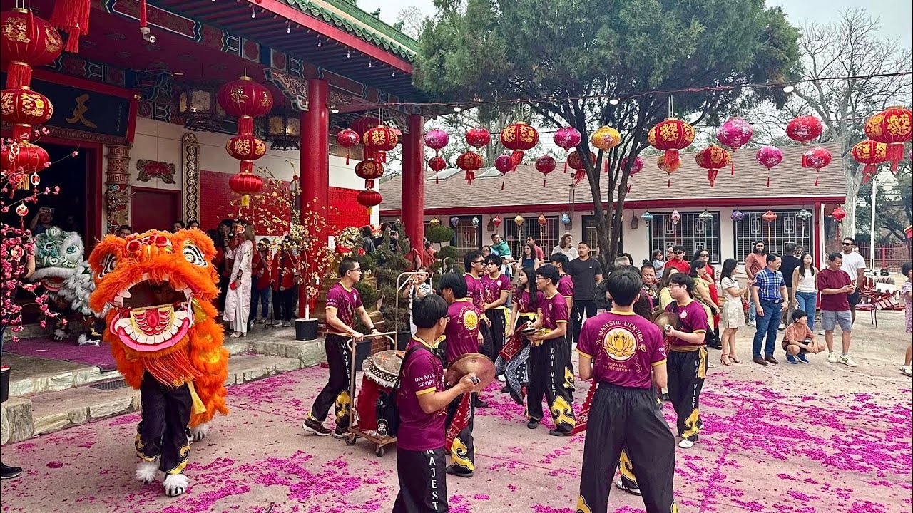 2026 Lunar New Year Blessings | Lion Dance at Tian Hou Temple（2026 農曆新年祈福｜天后宮舞獅表演-片段3）🥁 #traveldiary
