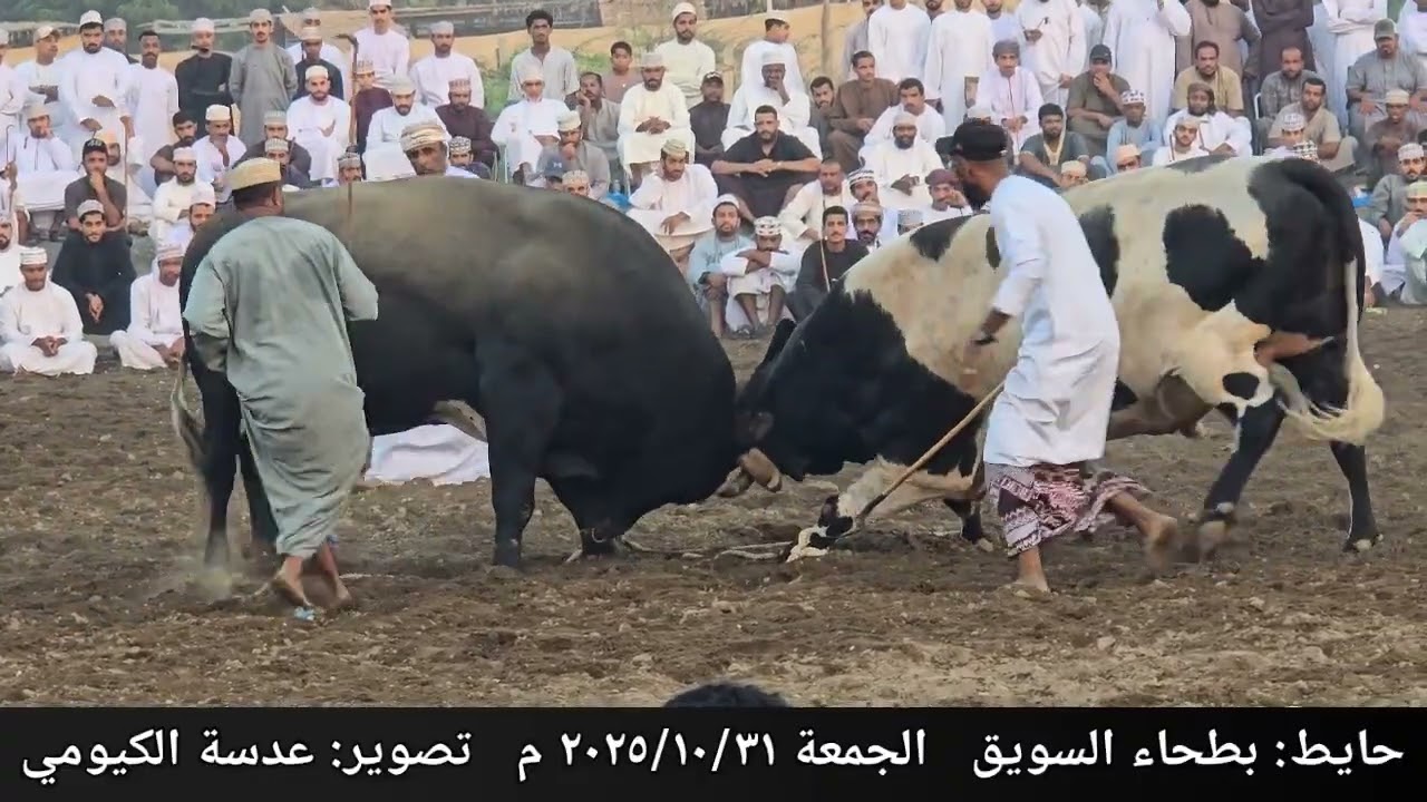 العازف و بهلوان ... حايط بطحاء السويق ١٥