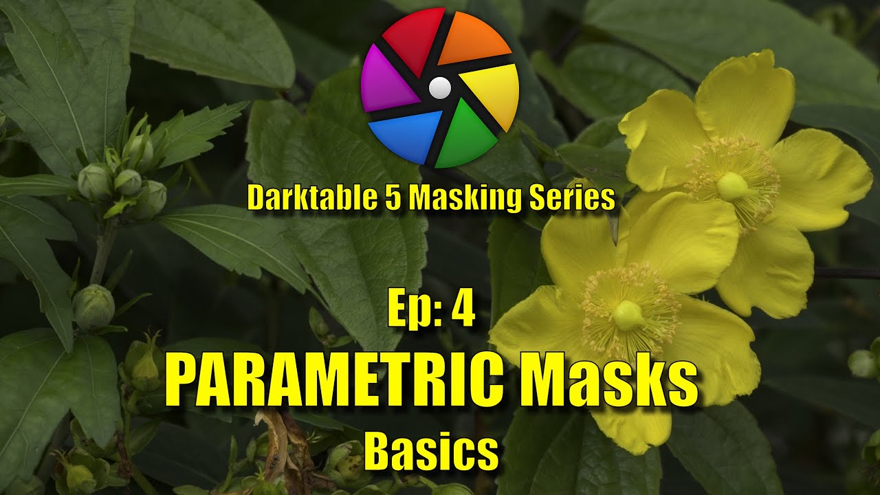 Darktable Ultimate Guide to Masking: Ep 4 - Parametric Masking Basics