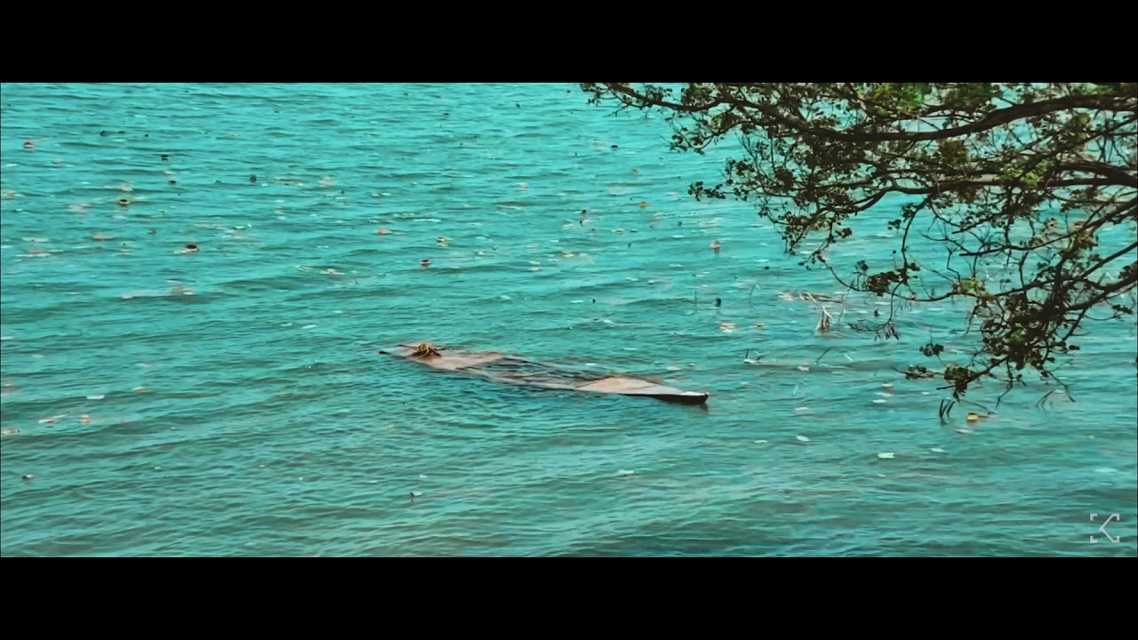 Cinematic Sequense of Rasul Barrage