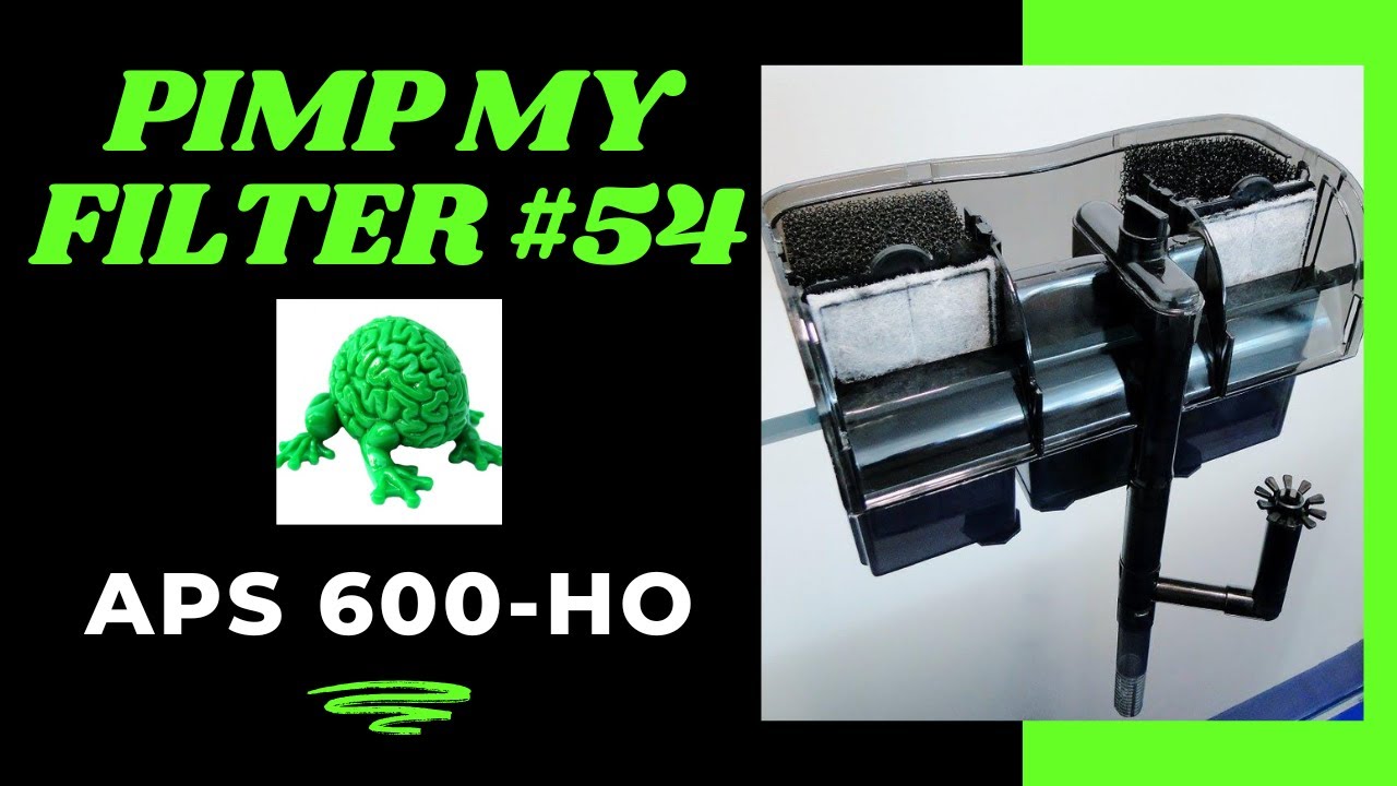 Pimp My Filter #54 - All Pond Solutions 600-HO Hang on Back Filter Upgrade