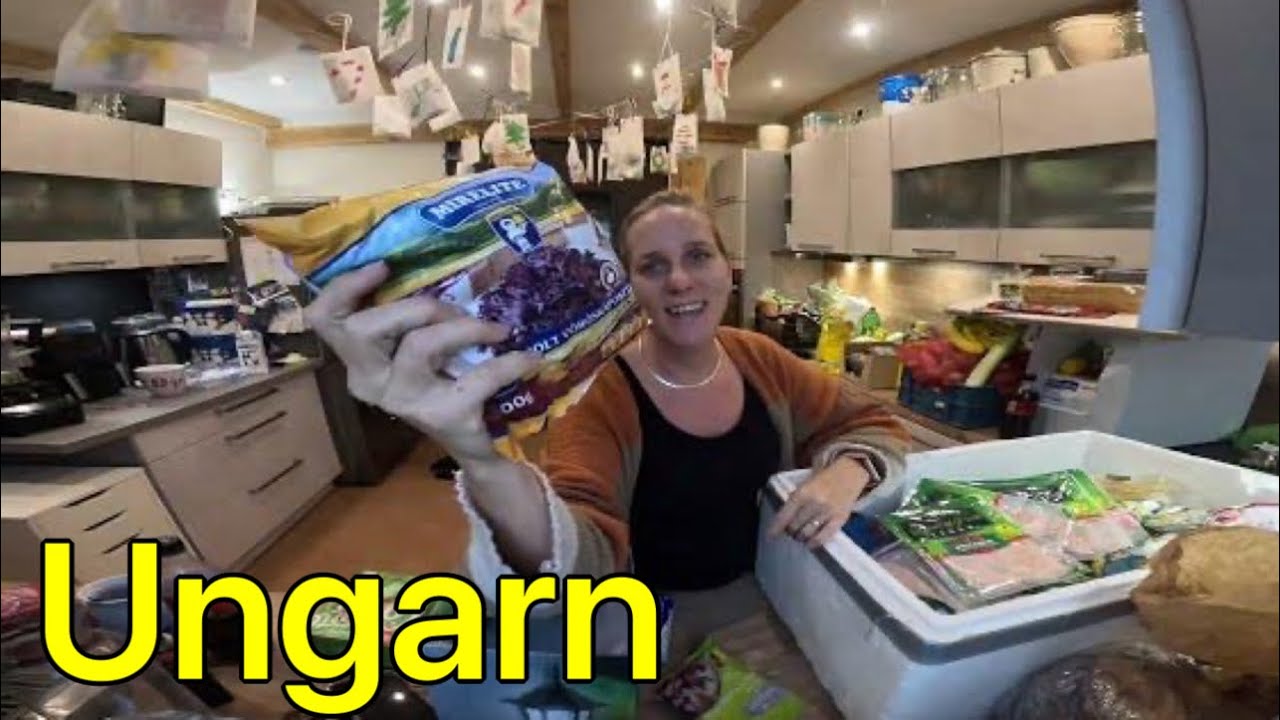 UNGARN | Krisenvorsorge nötig? Lebensmittel RATIONIERT | nur 1 Flasche Öl | Food HAUL